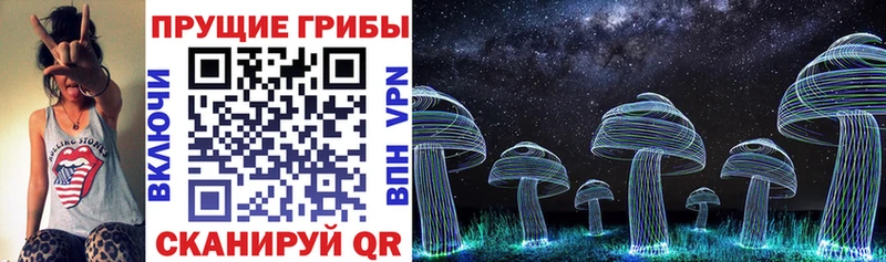 сколько стоит  darknet формула  Псилоцибиновые грибы мицелий  Бавлы 